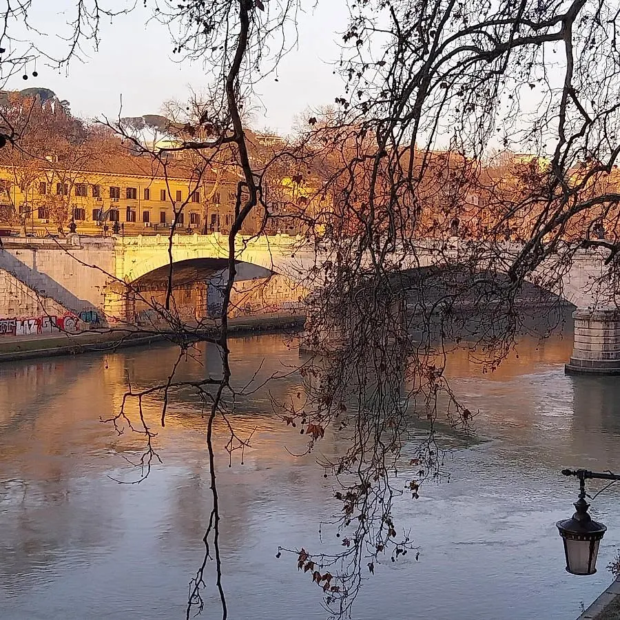 Sunhouserome Rome