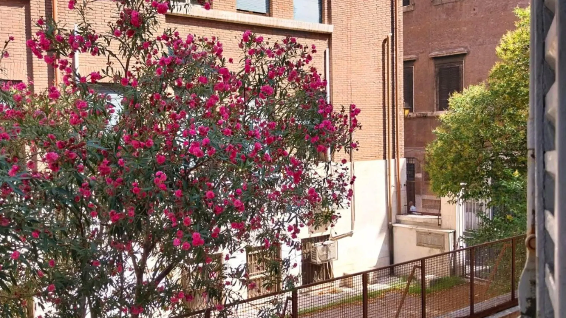 Sunhouserome 0*, Rome